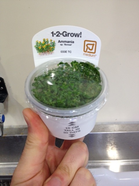 %1B%24B%3CL%3F%3F%1B%28B%201 - コピー (6)