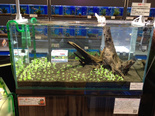 %1B%24B%3CL%3F%3F%1B%28B%203 - コピー (6)