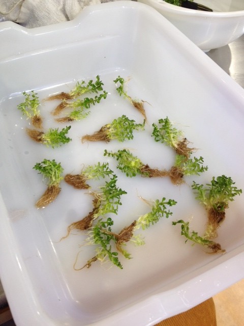 %1B%24B%3CL%3F%3F%1B%28B%202 - コピー (6)