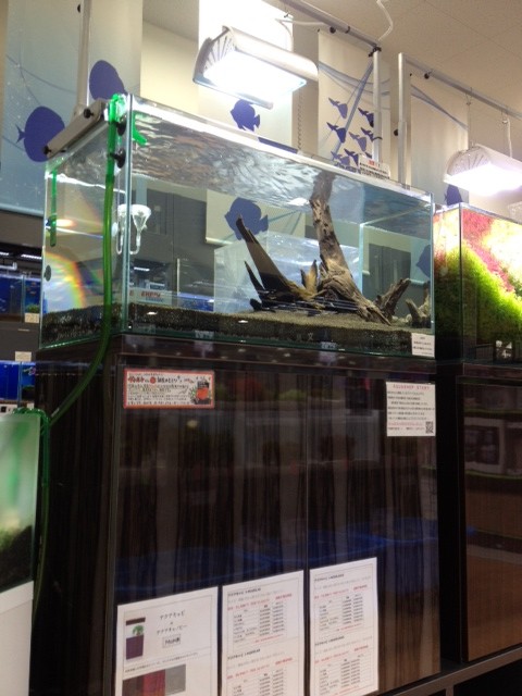 %1B%24B%3CL%3F%3F%1B%28B%201 - コピー (5)