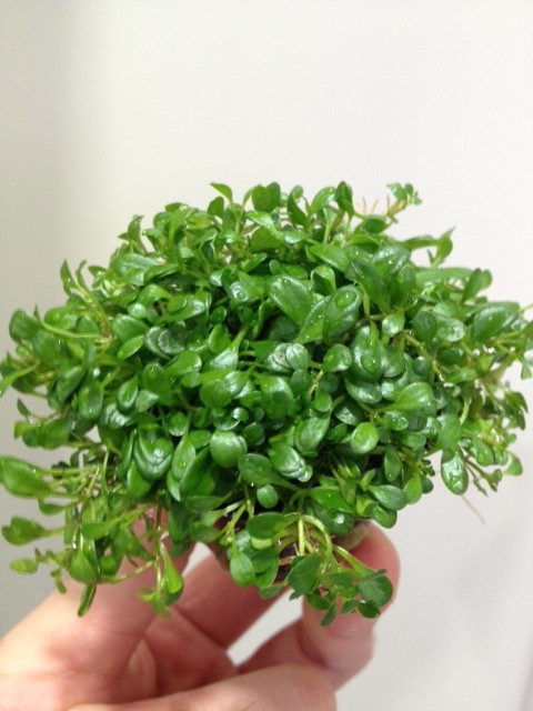 %1B%24B%3CL%3F%3F%1B%28B%203 - コピー (5)