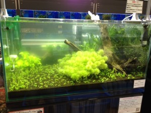 %1B%24B%3CL%3F%3F%1B%28B%202 - コピー (11)