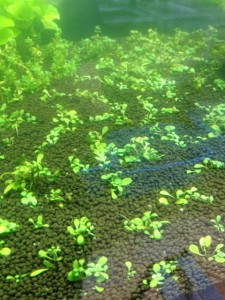 %1B%24B%3CL%3F%3F%1B%28B%201 - コピー (12)