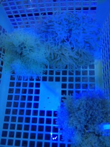 %1B%24B%3CL%3F%3F%1B%28B%201 - コピー (58)