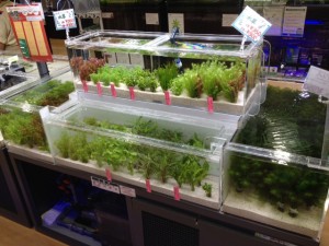 %1B%24B%3CL%3F%3F%1B%28B%205 - コピー (7)