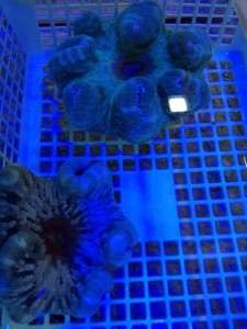 %1B%24B%3CL%3F%3F%1B%28B%202 - コピー (57)