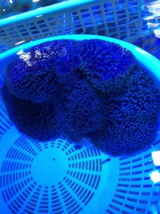 %1B%24B%3CL%3F%3F%1B%28B%203 - コピー (51)