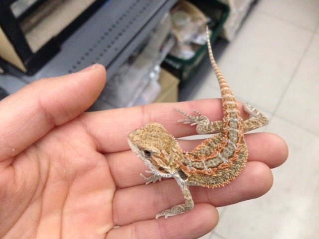 image1 - コピー (3)