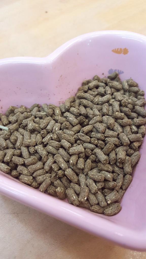 メンテナンスチモシー